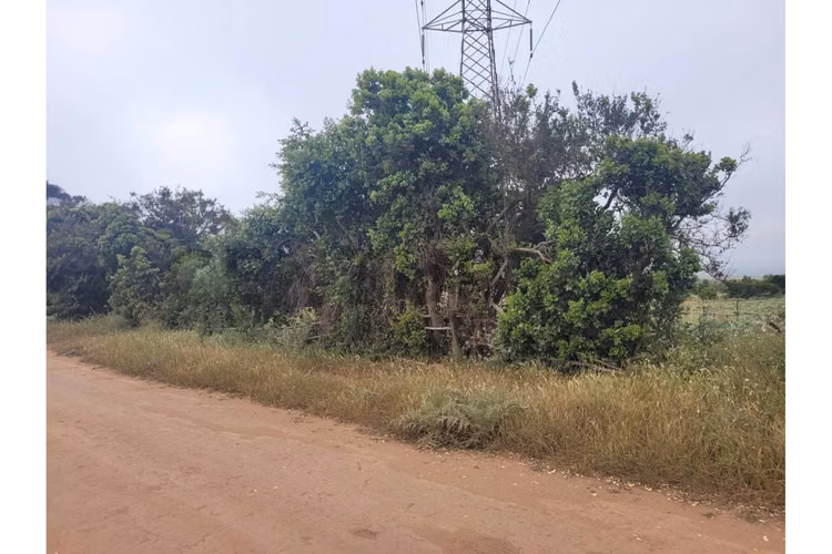 Excelentes Terrenos en venta, Santa Adela - Imagen 17