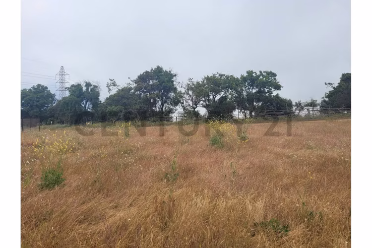 Excelentes Terrenos en venta, Santa Adela - Imagen 22