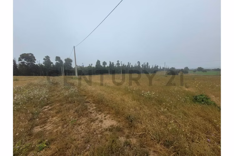 Excelentes Terrenos en venta, Santa Adela - Imagen 2