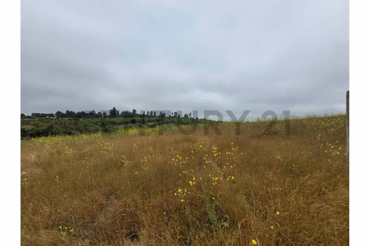 Excelentes Terrenos en venta, Santa Adela - Imagen 27