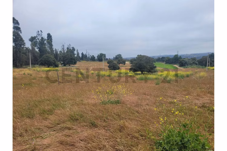 Excelentes Terrenos en venta, Santa Adela - Imagen 25