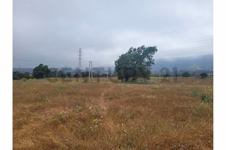 Excelentes Terrenos en venta, Santa Adela - Imagen 13
