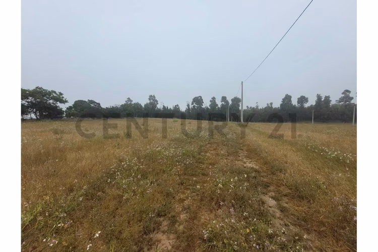 Excelentes Terrenos en venta, Santa Adela - Imagen 10