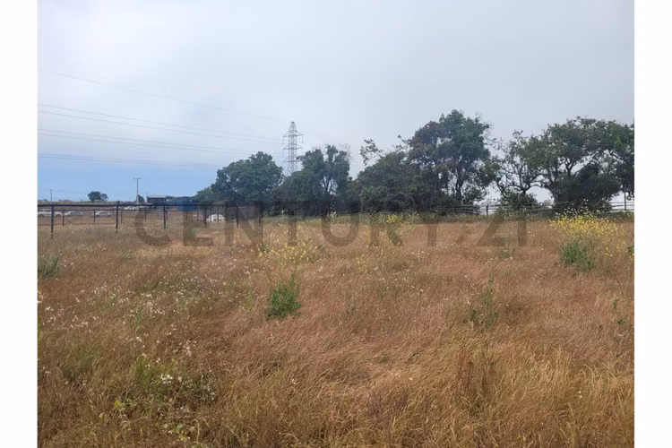 Excelentes Terrenos en venta, Santa Adela - Imagen 23