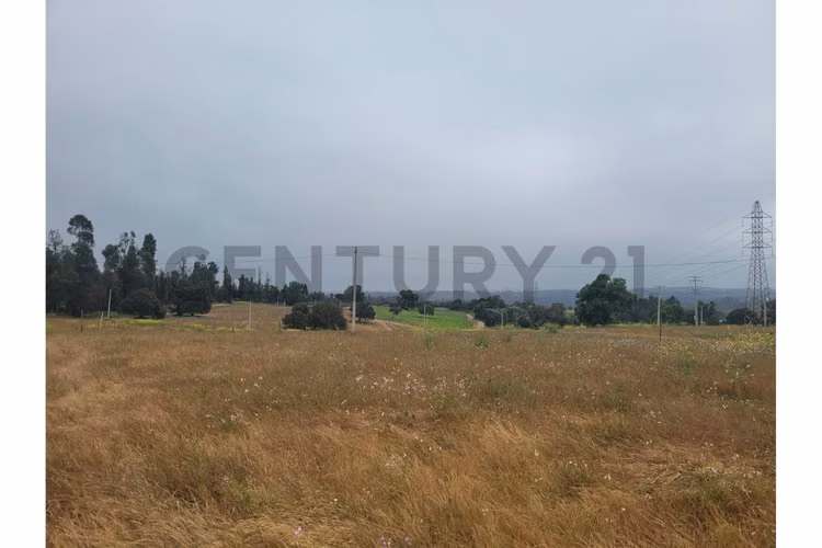 Excelentes Terrenos en venta, Santa Adela - Imagen 16