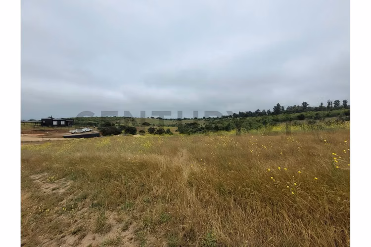 Excelentes Terrenos en venta, Santa Adela - Imagen 30