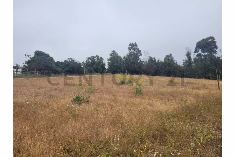 Excelentes Terrenos en venta, Santa Adela - Imagen 21