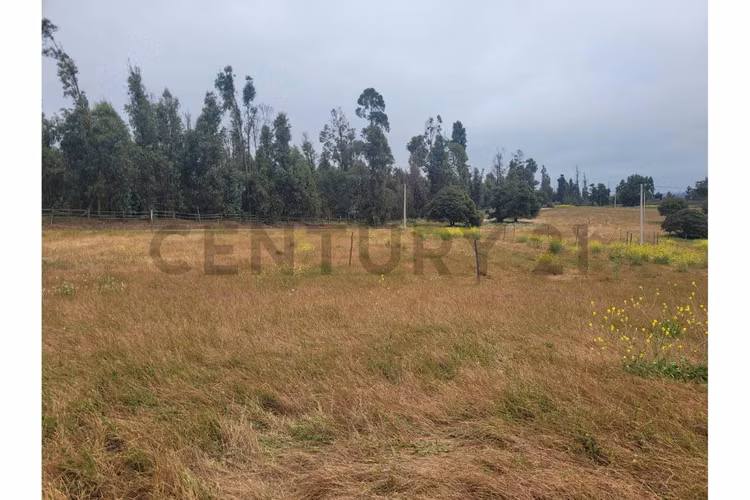 Excelentes Terrenos en venta, Santa Adela - Imagen 28