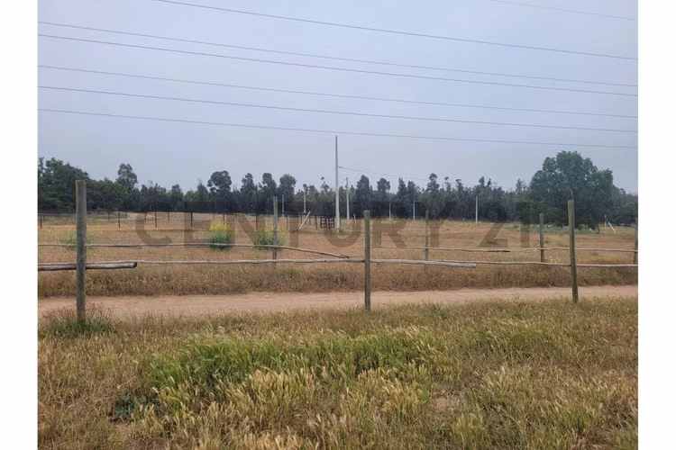 Excelentes Terrenos en venta, Santa Adela - Imagen 20