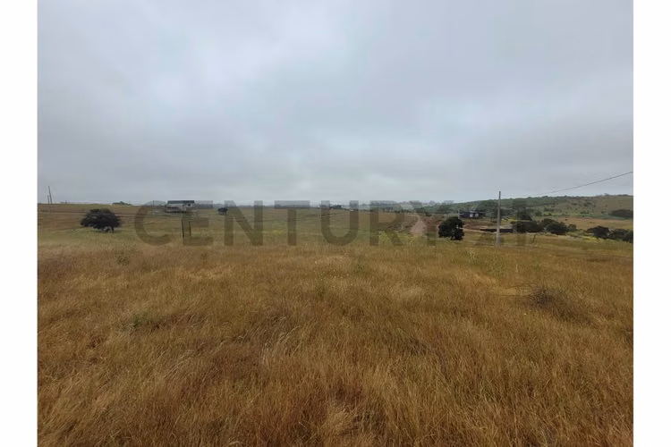 Excelentes Terrenos en venta, Santa Adela - Imagen 4