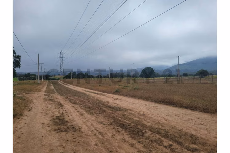 Excelentes Terrenos en venta, Santa Adela - Imagen 12