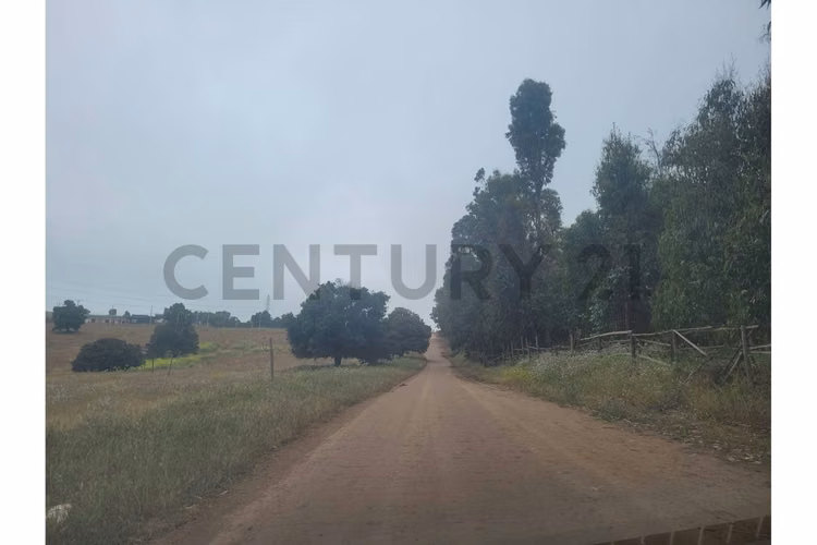 Excelentes Terrenos en venta, Santa Adela
