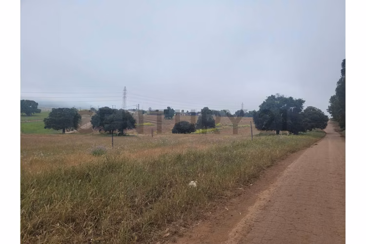 Excelentes Terrenos en venta, Santa Adela - Imagen 3