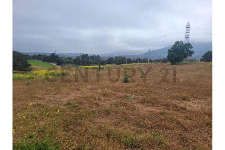 Excelentes Terrenos en venta, Santa Adela - Imagen 24