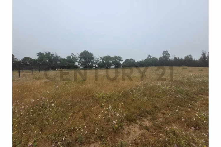 Excelentes Terrenos en venta, Santa Adela - Imagen 9
