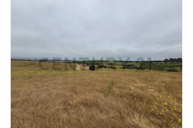 Excelentes Terrenos en venta, Santa Adela - Imagen 29