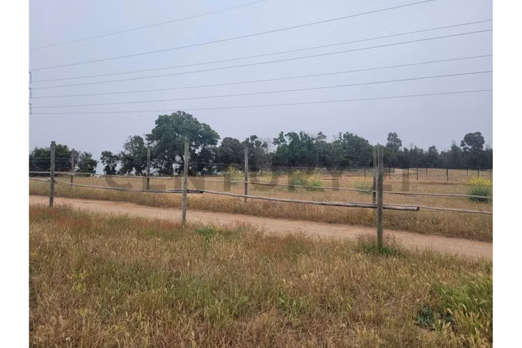 Excelentes Terrenos en venta, Santa Adela - Imagen 8