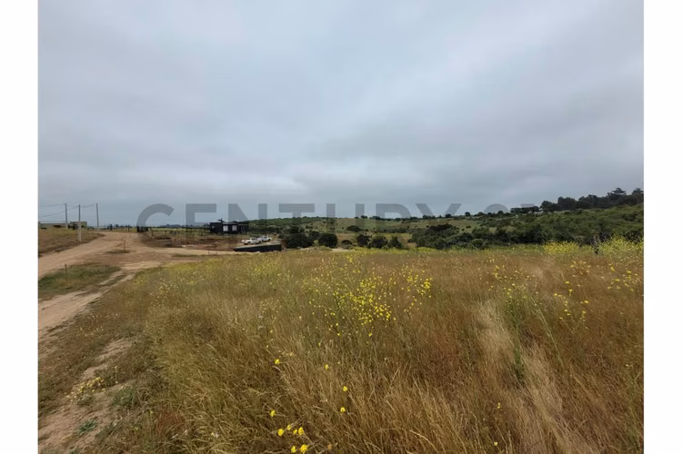 Excelentes Terrenos en venta, Santa Adela - Imagen 26