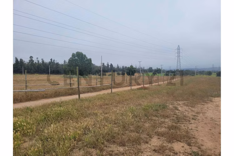 Excelentes Terrenos en venta, Santa Adela - Imagen 14