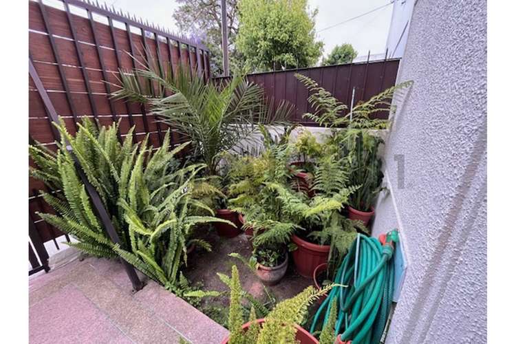 Hermosa casa  en venta Cerro Castillo, rebajada - Imagen 27