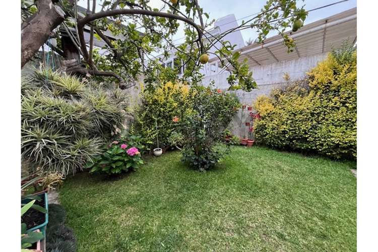 Hermosa casa  en venta Cerro Castillo, rebajada - Imagen 2