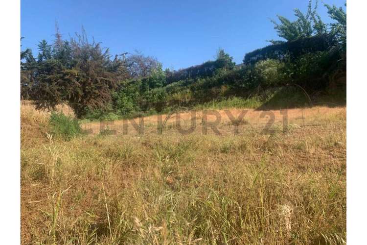Venta Terreno en Condominio, Olmué - Imagen 8