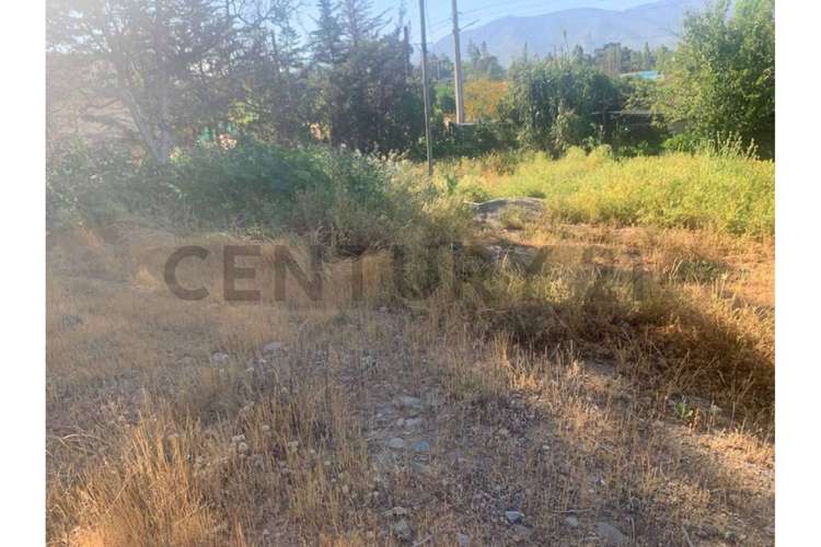 Venta Terreno en Condominio, Olmué - Imagen 7