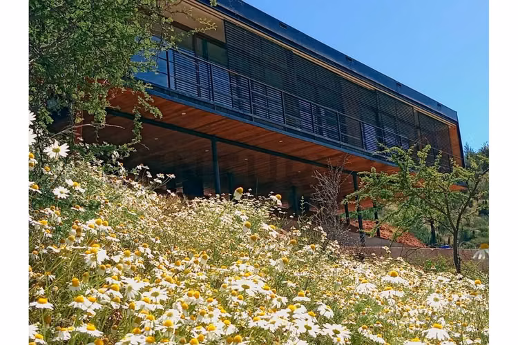 Vendo Parcela en Condominio de  Olmué - Imagen 2
