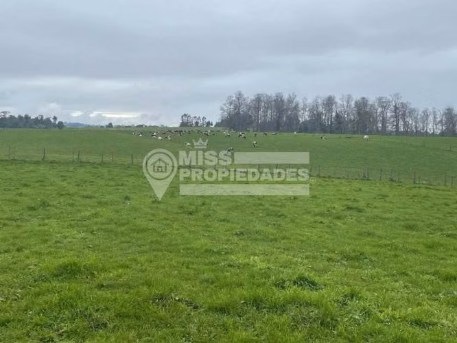 VENDE PARCELA - PUERTO VARAS, REGION DE LOS LAGOS
