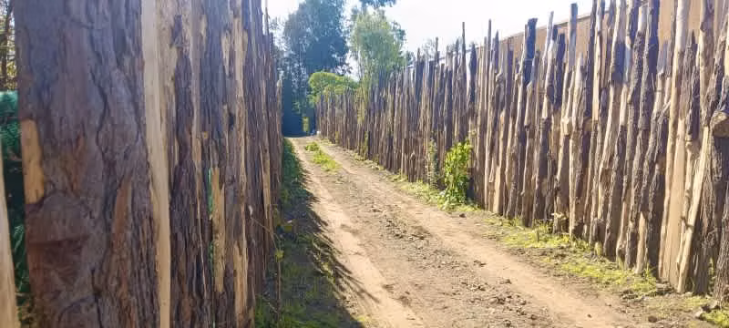 Gran Sitio Con Agua Y Luz, Sector El Médano Maitencillo