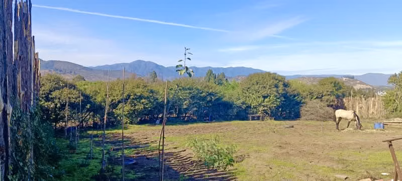 Gran Sitio Con Agua Y Luz, Sector El Médano Maitencillo