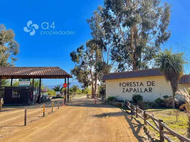 Excelente Inversión! Parcela Condominio Foresta Zapallar