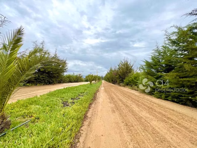 Excelente Inversión! Parcela Condominio Foresta Zapallar