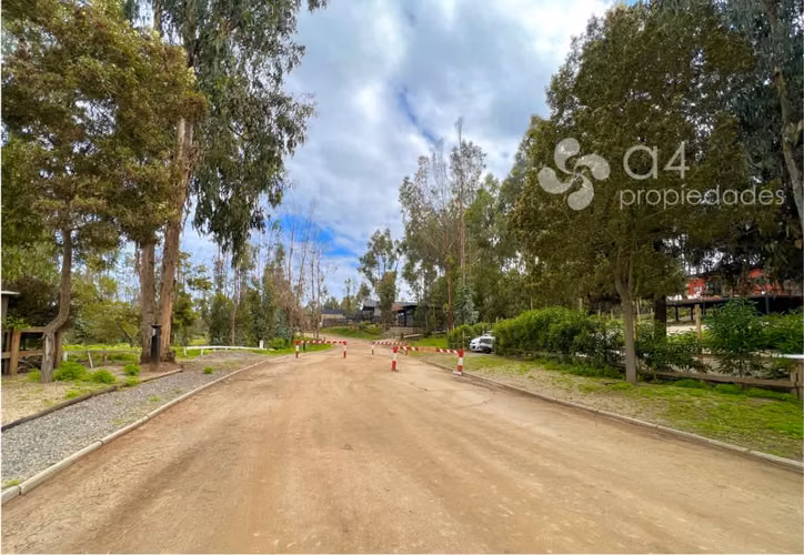 Sitio en Condominio Consolidado, Cerro Tacna, Maitencillo. - Imagen 4