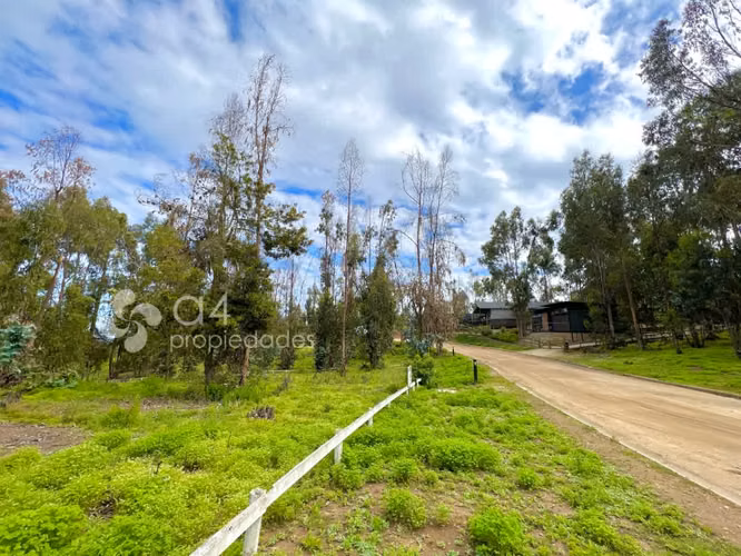 Sitio en Condominio Consolidado, Cerro Tacna, Maitencillo. - Imagen 11