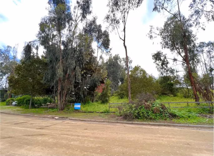Sitio en Condominio Consolidado, Cerro Tacna, Maitencillo. - Imagen 10