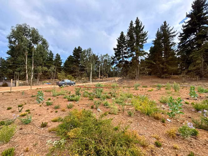VASS vende terreno 1.600 m2 en Los Pinos de Reñaca. Viña del Mar