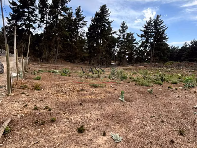 VASS vende terreno 1.600 m2 en Los Pinos de Reñaca. Viña del Mar