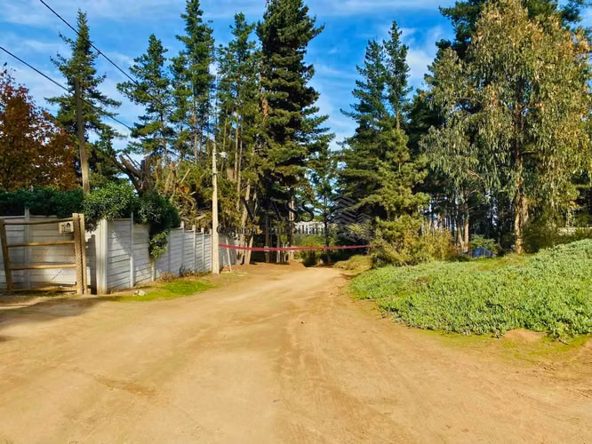 VASS vende terreno 1.600 m2 en Los Pinos de Reñaca. Viña del Mar