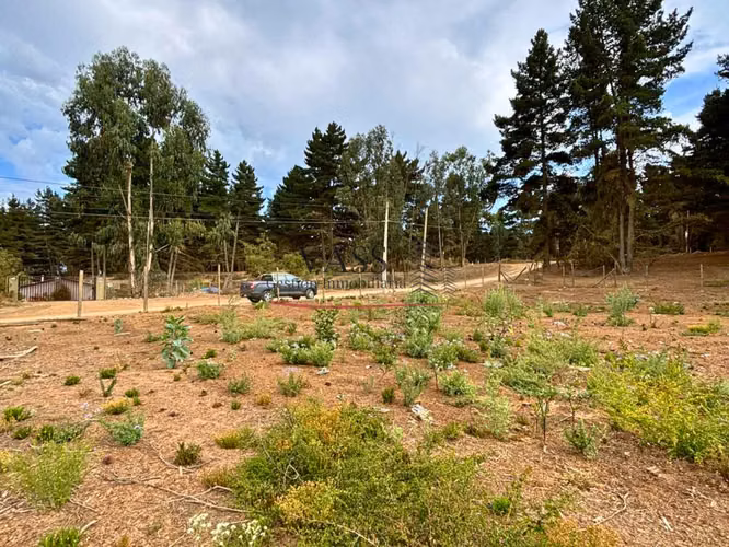 VASS vende terreno 1.600 m2 en Los Pinos de Reñaca. Viña del Mar