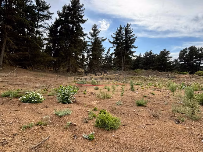 VASS vende terreno 1.600 m2 en Los Pinos de Reñaca. Viña del Mar