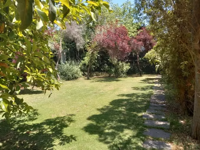 Terreno Olmué, Valparaíso