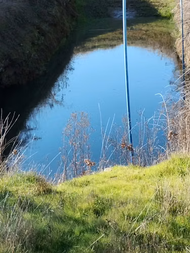 2.7 há ó 27000 m2 terreno plano, derechos de agua, paneles solares - Imagen 17
