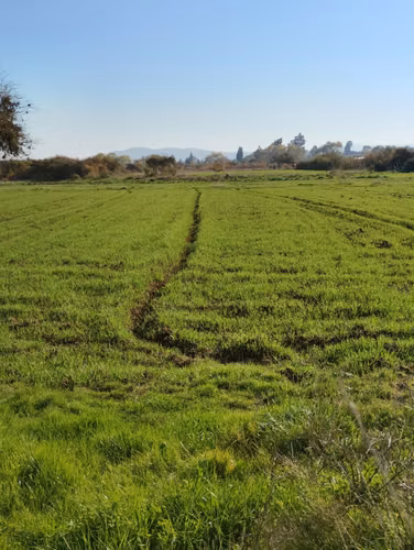 2.7 há ó 27000 m2 terreno plano, derechos de agua, paneles solares - Imagen 15