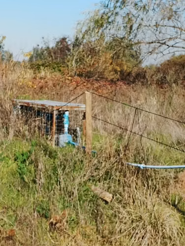 2.7 há ó 27000 m2 terreno plano, derechos de agua, paneles solares - Imagen 14