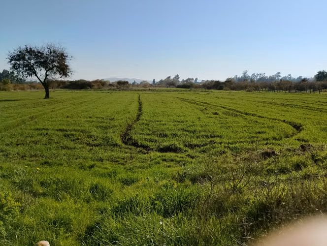 2.7 há ó 27000 m2 terreno plano, derechos de agua, paneles solares - Imagen 18
