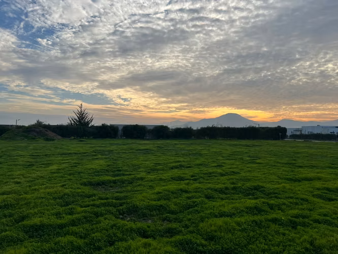 Venta de Parcela de 5.000 m² Condominio Los Queltehues Talagante - Imagen 12