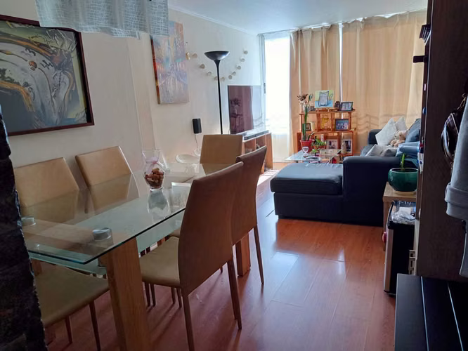 VENDE DEPTO. ISLA PICTON, CANAL BEAGLE, VIÑA  (110040)