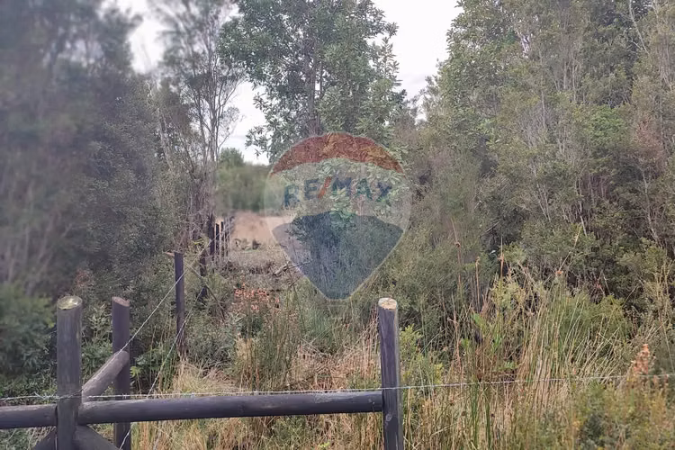 Parcela raices de maullin