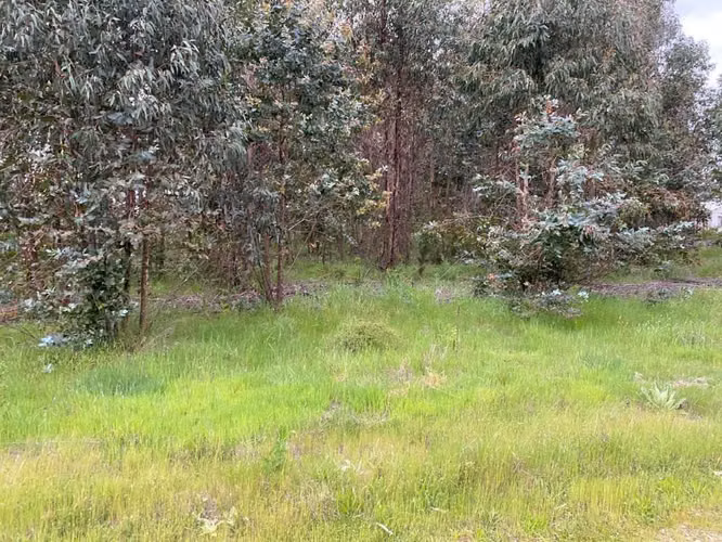 Se Vende Parcela de 5000m2 con Rol